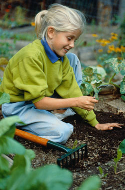 Il giardino