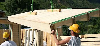Il legno nella costruzione